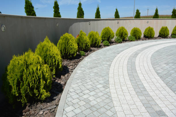 Driveway Repair Near Me in Clearlake Riviera, CA